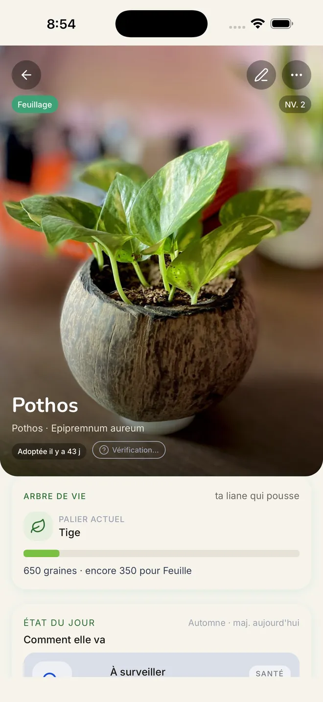 La fiche d'un Pothos dans GreenBuddy : son Arbre de Vie et son état du jour.